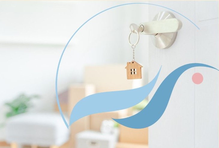 You are currently viewing BROCANTE